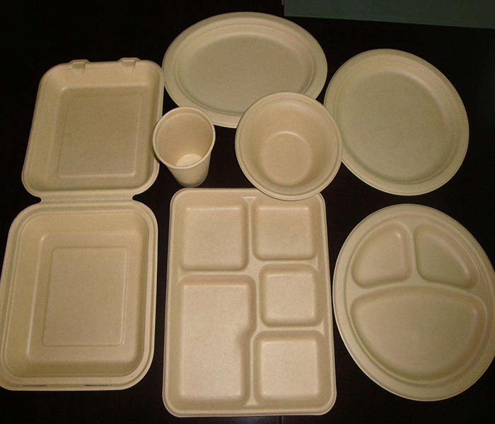 環(huán)保紙漿模塑歷來(lái)發(fā)展與應(yīng)用有哪些？